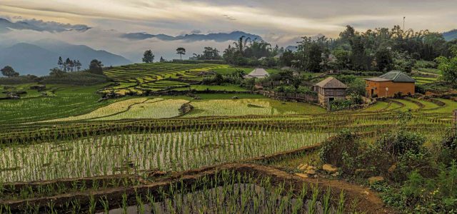 Hanoi to Hoi An
