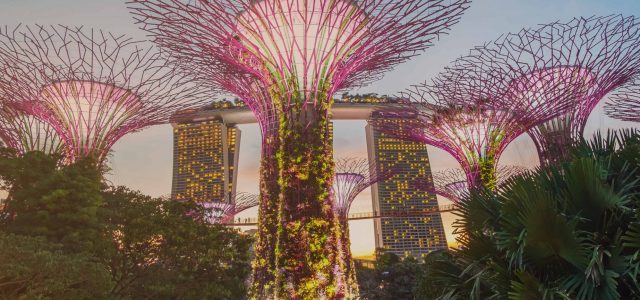 Singapore & Phuket