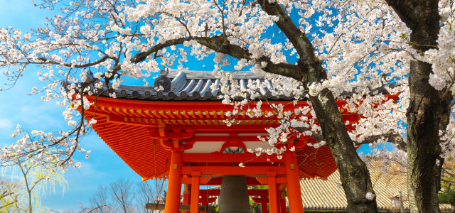 Essential Tokyo